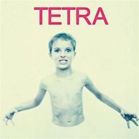 Tetra Absent Cd Album Muziek