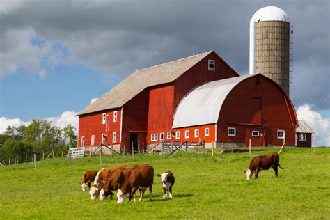 How To Find A Local Organic Farm Near You 5thbranch