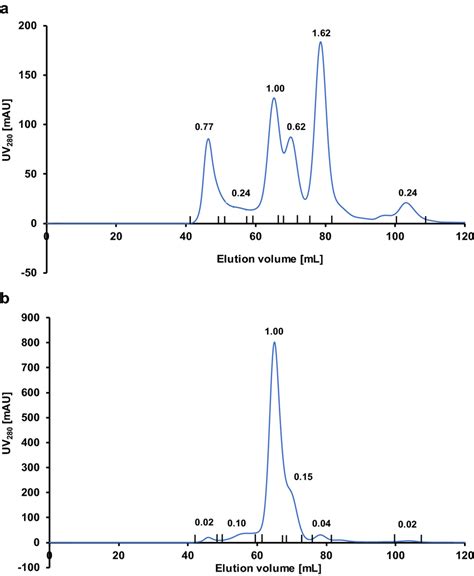Size Exclusion Chromatography Elution Profiles After Protein A Affinity