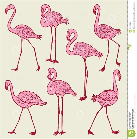 A Flock Of The Pink Cartoon Flamingos Stock Vector