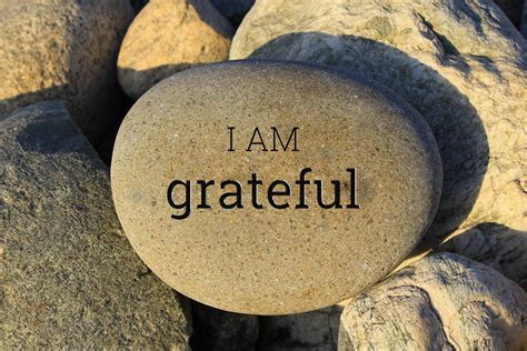 vida integrative medicine i am… grateful gratitude attitude of gratitude quotes daily