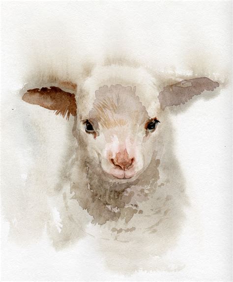 Newborn Lamb Paintings