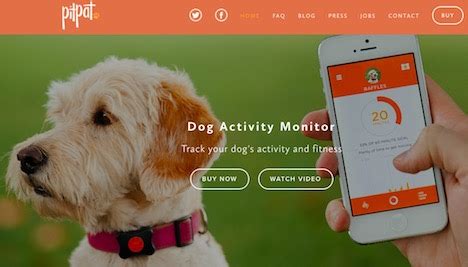 Shop chewy for low prices and the best cat gps & activity! Top 15 Best GPS Pet Trackers for Dogs and Cats - Quertime