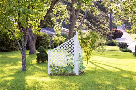 This Simple Corner Trellis Acts As Both A Sturdy Plant Support And A