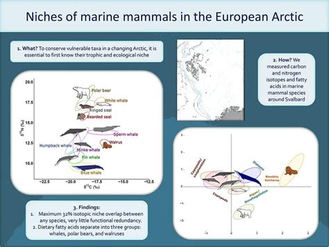 17 February 2022 New Article On Niches Of Marine Mammals In The