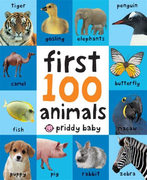 First 100 Animals By Roger Priddy Board Book Barnes And Noble
