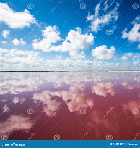 Salgue a Lagoa Cor-de-rosa Em Las Coloradas, Iucat?o, M?xico Imagem de