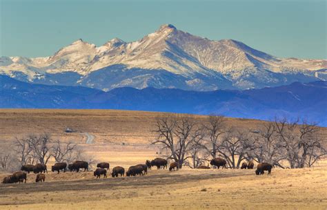 Aoc1a8036 Rocky Mountain Arsenal National Wildlife