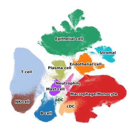 Luca Single Cell Lung Cancer Atlas