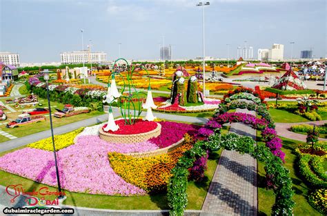 45 Million Flowers Worlds Most Beautiful Dubai Miracle