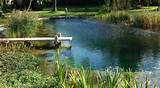 Images of Natural Swimming Pool