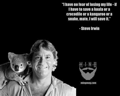 Steve Irwin On Animal Activism Steve Irwin Steve Irwin Day Irwin