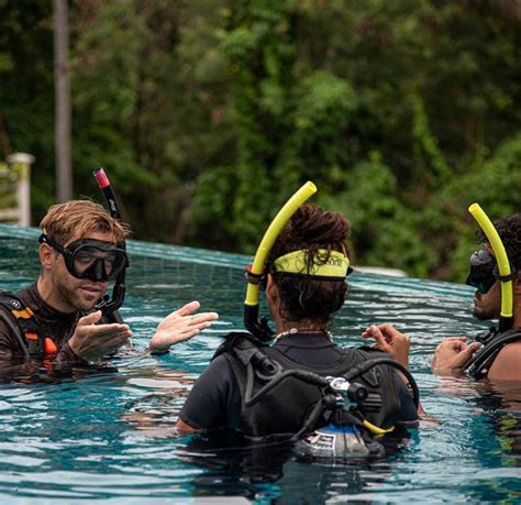 Scuba Diver Taucher Bans Diving Koh Tao