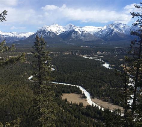 Tunnel Mountain Hike In Banff 1 Reviews And 3 Photos
