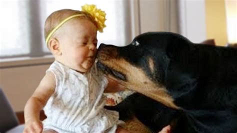 Are Rottweilers Good With Babies