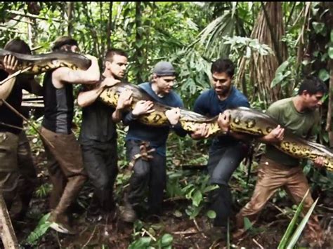 Discovery Channel Eaten Alive Trailer Suggests Man Will Be Swallowed