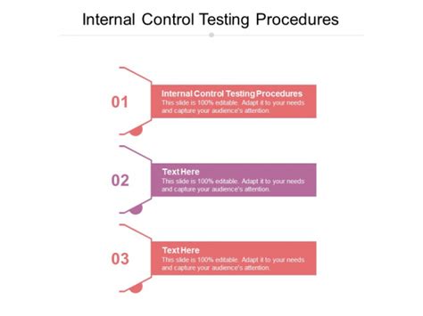 Internal Control Testing Procedures Ppt Powerpoint Presentation