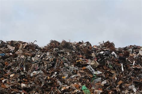 How Can We Divert More Waste From Landfill Brown Recycling