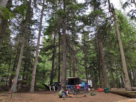 Glacier camping is at its best at fish creek, with lots of shade from the surrounding trees and some nice privacy. Our little chunk of heaven in Glacier National Park (Fish ...
