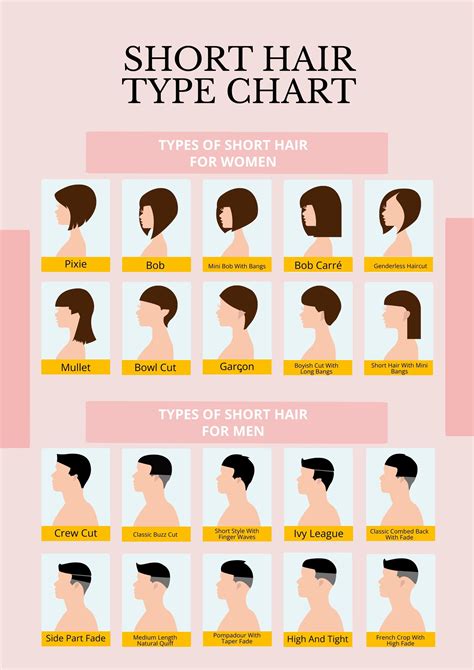 Short Hair Type Chart In Illustrator Pdf Download