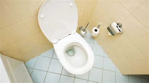 Fix An Overflowing Toilet Hamilton On Plumber