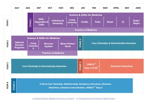 Stages Of Curriculum Development