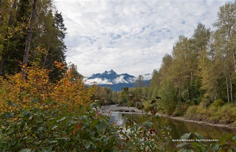 The Skagit River From Silver Skagit Road Near Ross Lake In British