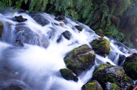 Free Images Tree Nature Rock Waterfall River Moss Stream Rapid