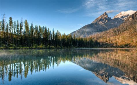 Nature Lake Landscape Reflection Fog Mountain Ice Tree