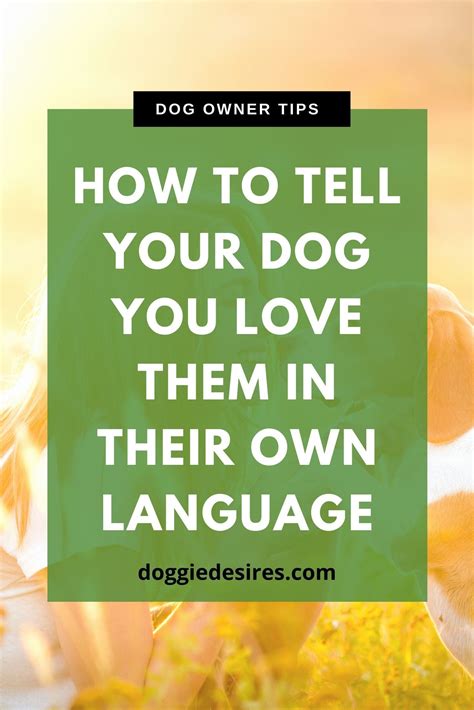 How To Tell Your Dog You Love Them In Their Own Language In 2021