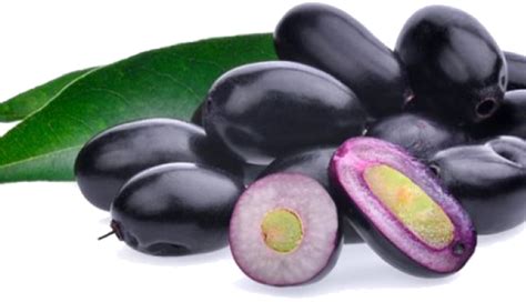 Download Jamun Fruit Png Image With No Background