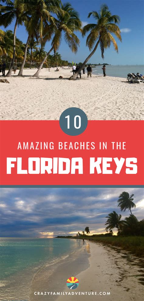 Best beach for bird watching. Top 10 Florida Keys Beaches | Best beach in florida, Beach ...