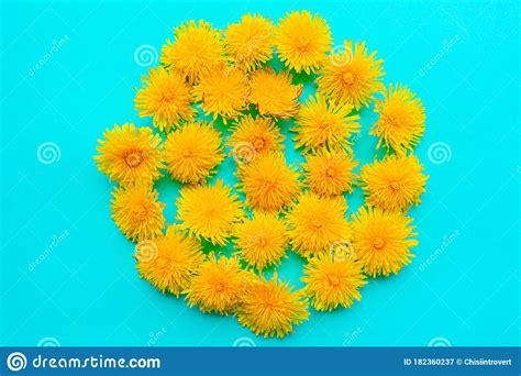 Pattern Of Bright Yellow Dandelions On Green Background Stock Image