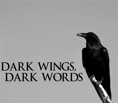 Dark Wings Dark Words Send A Raven Dark Words Fangirl Book Dark Wings