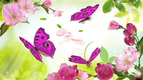 Butterflies Outshine The Blossoms Hd Desktop Wallpaper Widescreen