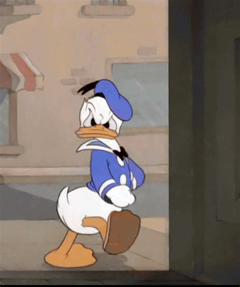 Donald Duck Is So Mad That Hes Not Watching Where Hes Walking