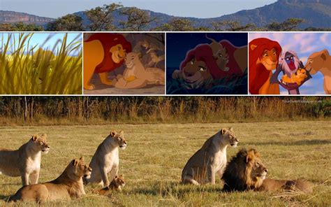 The Lion King The Lion King Wallpaper 39366028 Fanpop