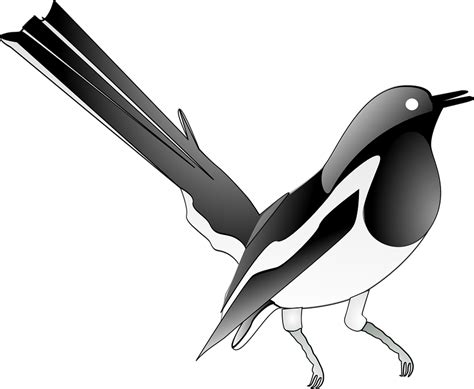 Mynah Bird Clipart Free Download On Clipartmag