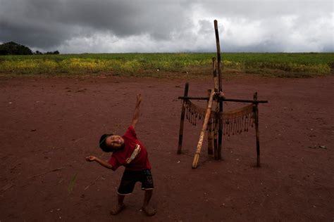 In Brazil Violence Hits Tribes In Scramble For Land The New York Times