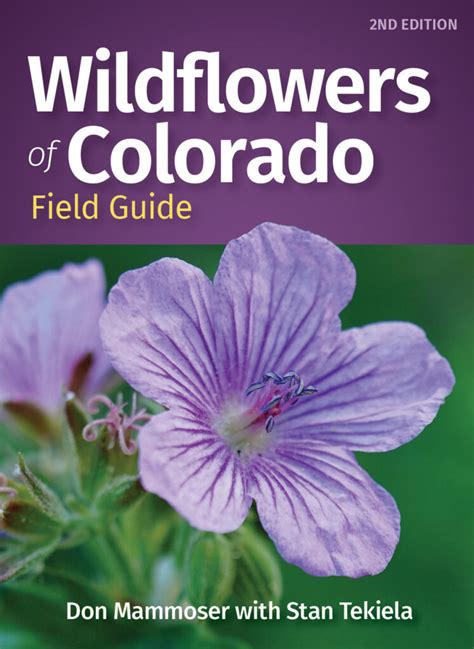 Discover The Wildflowers Of Colorado Adventure Publications