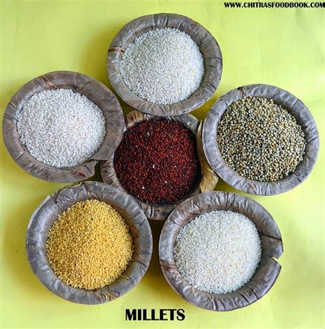 Millet Types Of Millets Health Benefits Glossarykambu Thinai