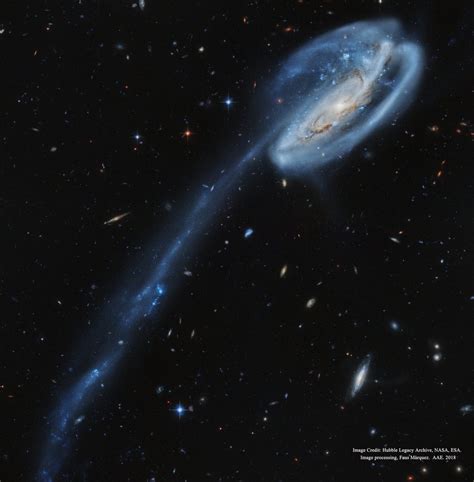 Arp 188 and the Tadpole's Tail | Astronomy pictures, Astronomy, Space and astronomy