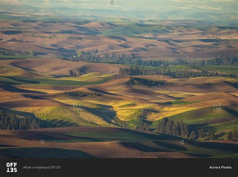 Scenery With Rolling Hills Steptoe Butte State Park Palouse