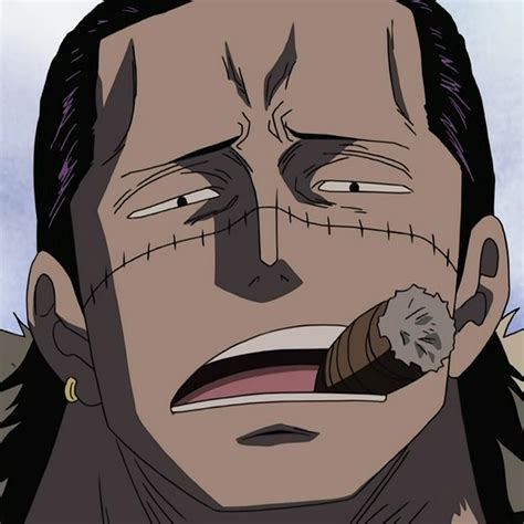 Read more information about the character crocodile from one piece? Crocodile | One Piece and Fairy Tail Wikia | Fandom