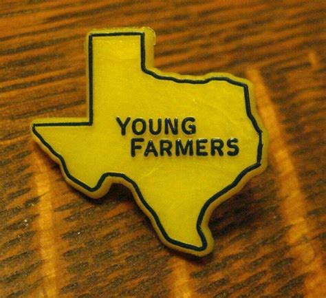 Texas Young Farmers Lapel Pin Vintage Tx Usa Agriculture Farming