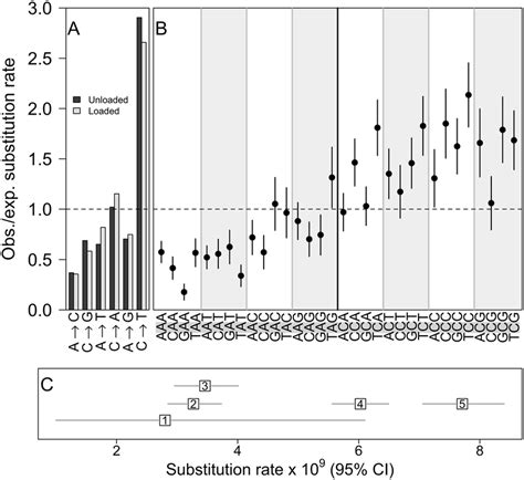 Spectrum And Context Dependence Of Single Nucleotide Substitutions A