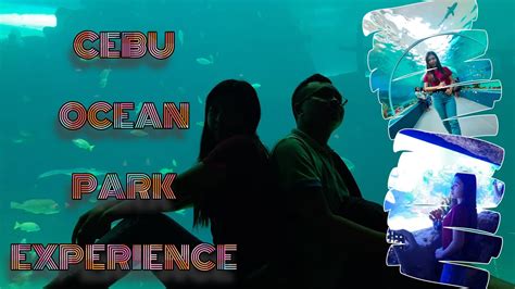 Cebu Ocean Park Experience The Biggest Oceanarium In The Philippines