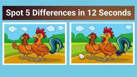 Spot The Difference Can You Spot 5 Differences Between The Two