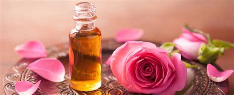 The Holy Rose Oil Blend Is Designed For A Unhealthy Scalp With Large