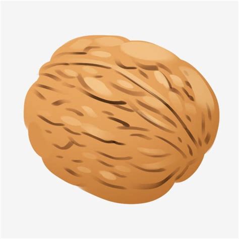 Nutritious White Transparent Nutritious Nut Paper Walnut Nut Clipart